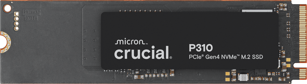 P310 NVMe 1TB Gen4 SSD